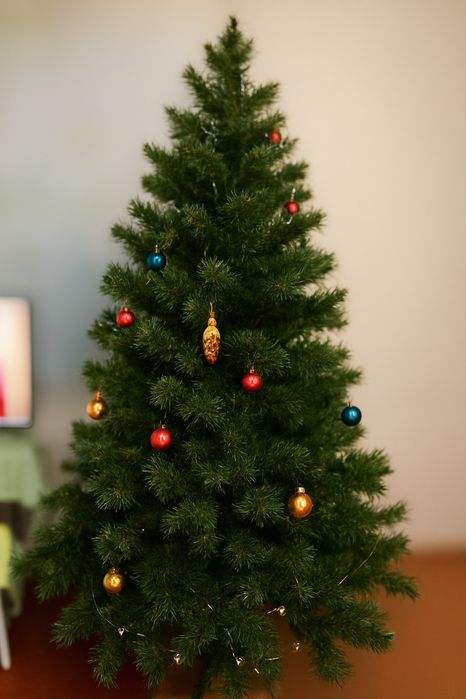 Сосна. Ялинка. Штучна. 2 метра