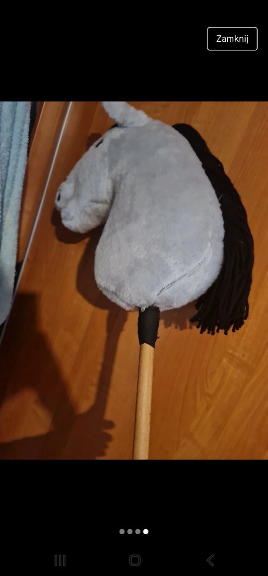 Hobby horse na kiju