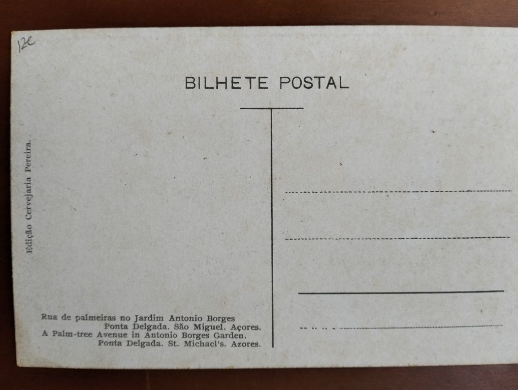 Postal Rua de Palmeiras no Jardim António Borges (Ponta Delgada)