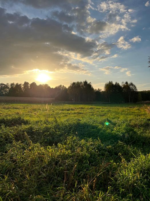 Działka przy lesie - Twoje miejsce w sercu natury - Gmina Oświęcim