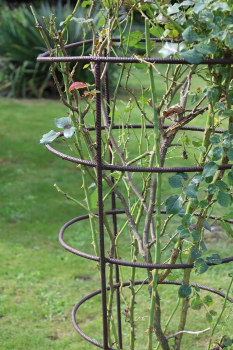 Stalowy klosz podpora na róże/kwiaty