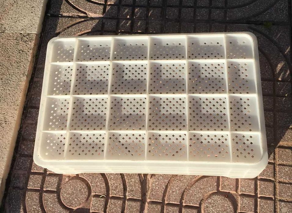 Tabuleiros Plástico (bolos, pão, queijo)