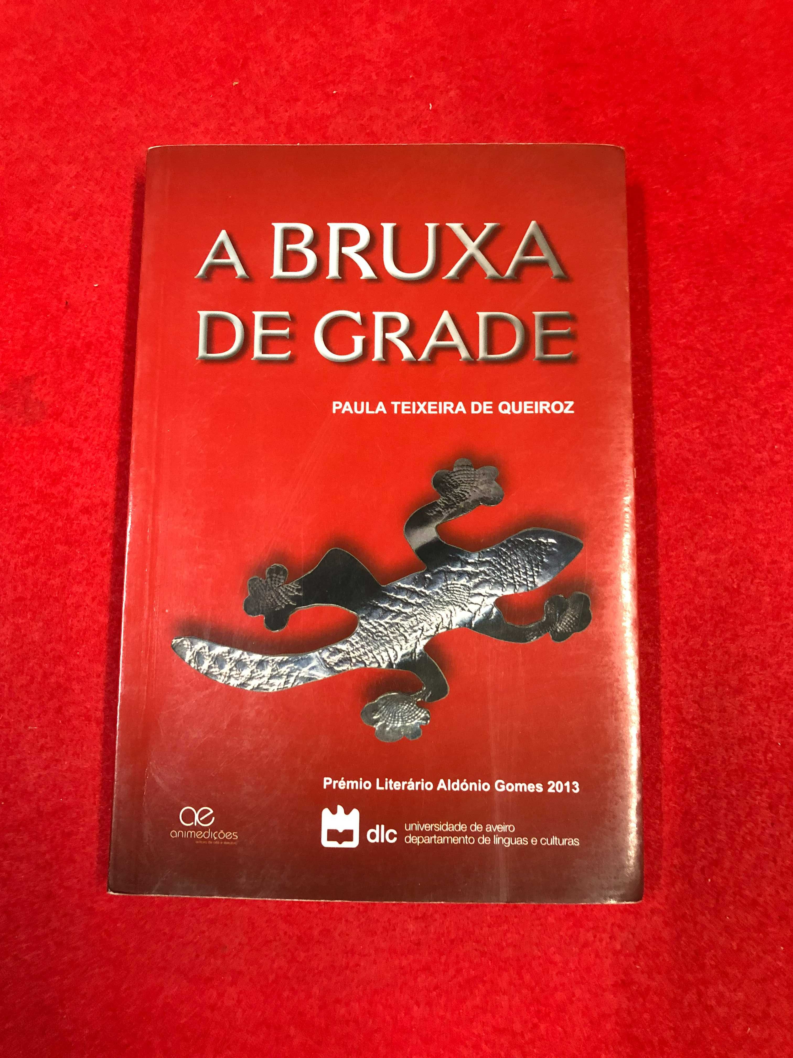 A bruxa de grade - Paula Teixeira de Queiroz