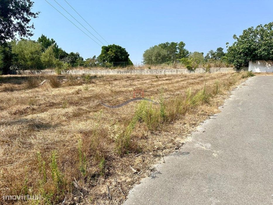Terreno - Zona Souto da Carpalhosa