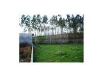 Quinta Em Rocas Do Vouga, Sever Do Vouga