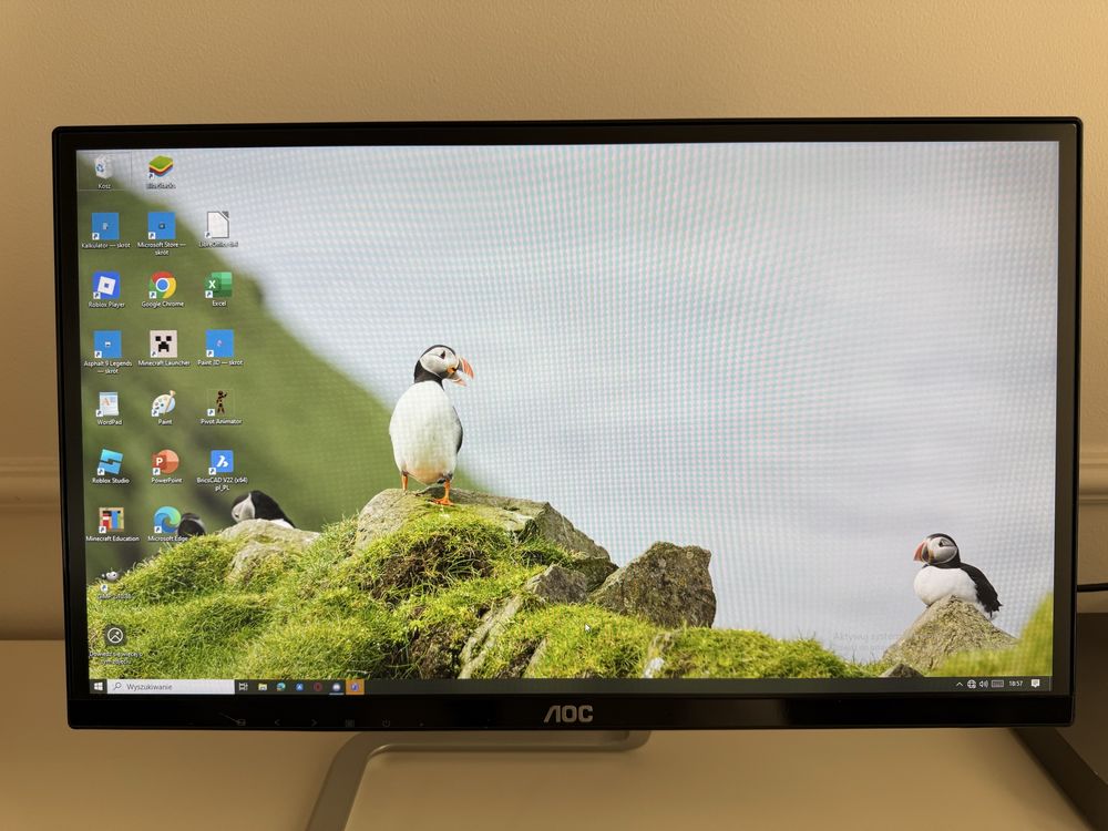 Monitor 22” AOC I2281FWH FullHD 60Hz IPS Matowa HDMI VGA