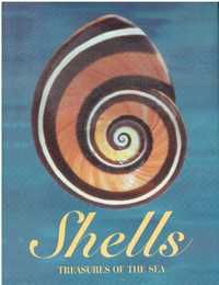 11031 Shells: Treasures of the Sea