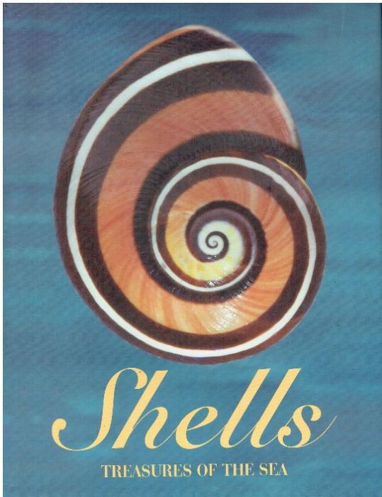 11031 Shells: Treasures of the Sea