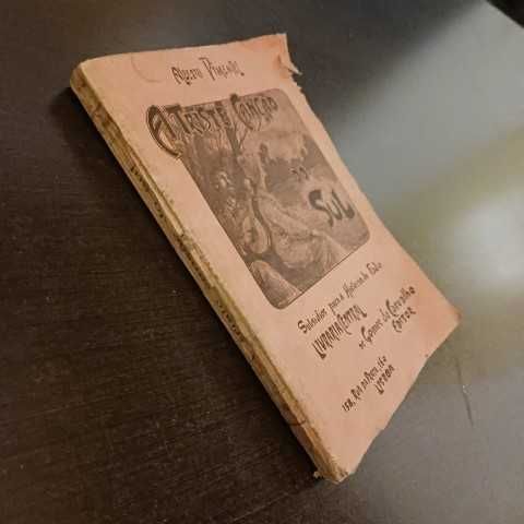 A Triste Canção do Sul (original livro raro)