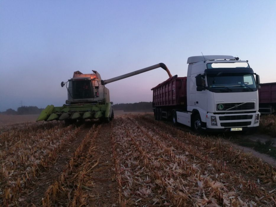 Usługi transportowe Transport wywrotki platforma Szczecin Gryfino