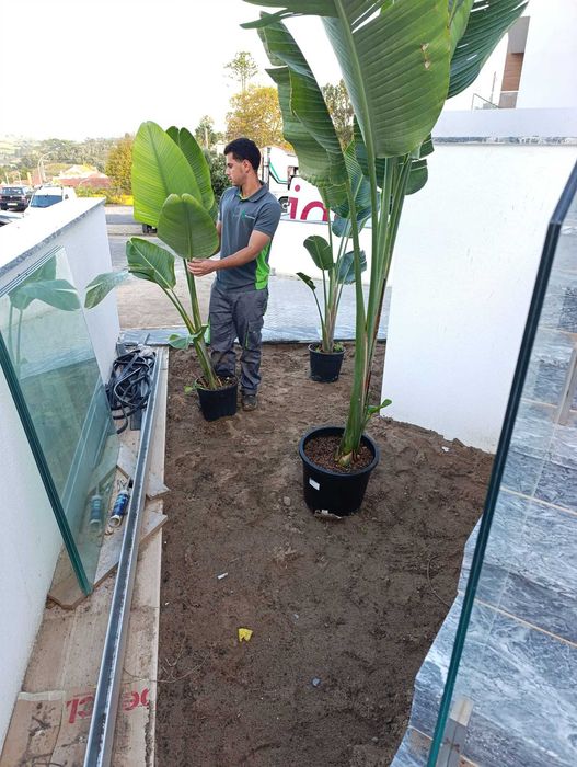 Temos serviços de jardinagem