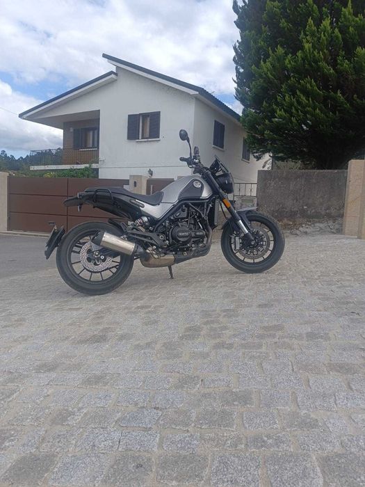 Benelli leoncino 2020
