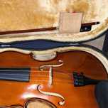 Viola d'Arco Stentor Student 2 Viola