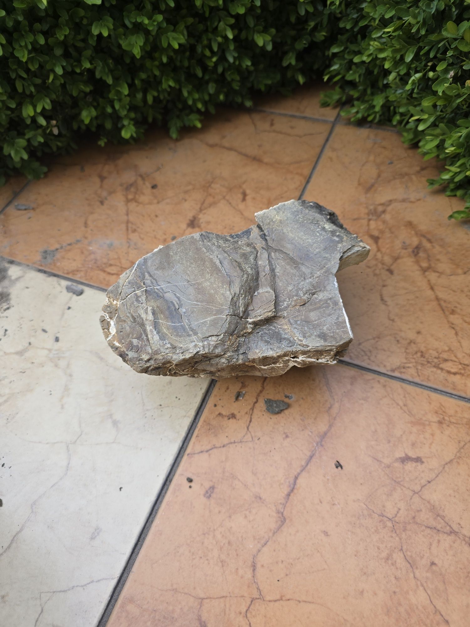 Ada Frodo Stone 2.35kg Kamień akwarystyczny