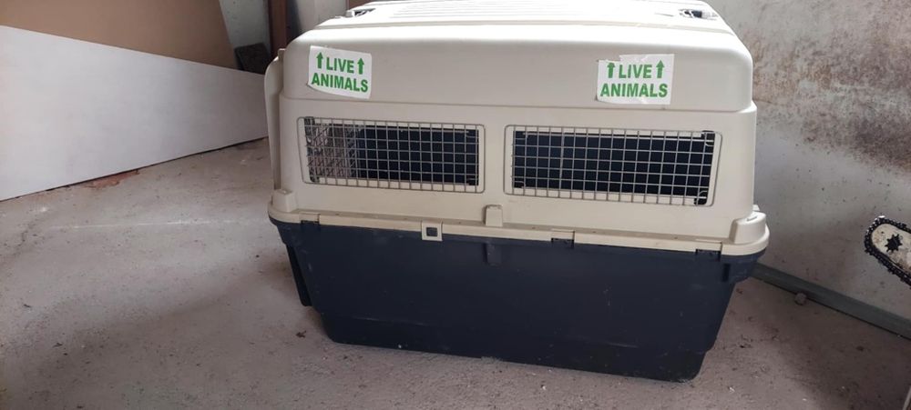 Caixa pra transportar animais grandes