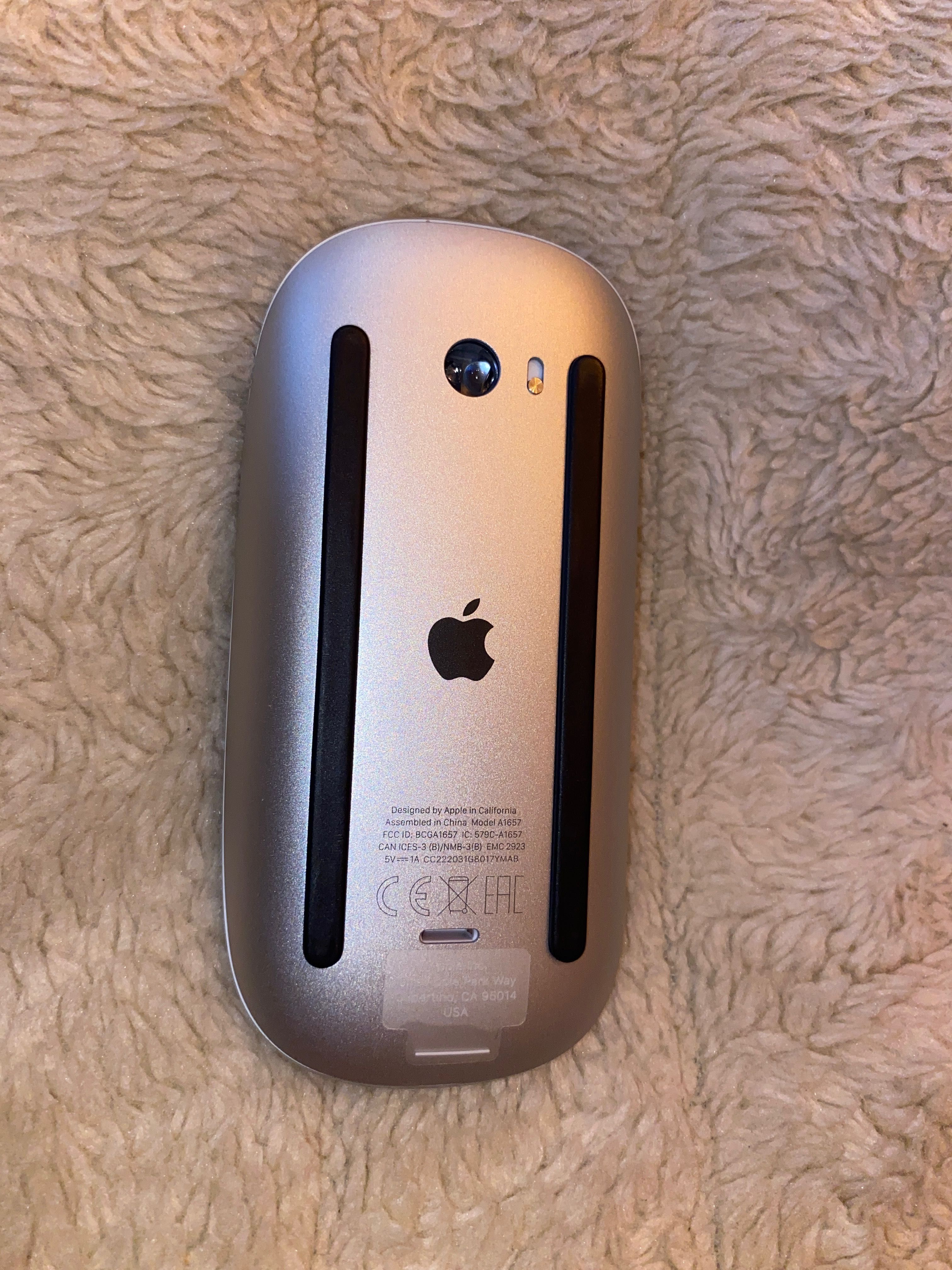 Magic Mouse Apple