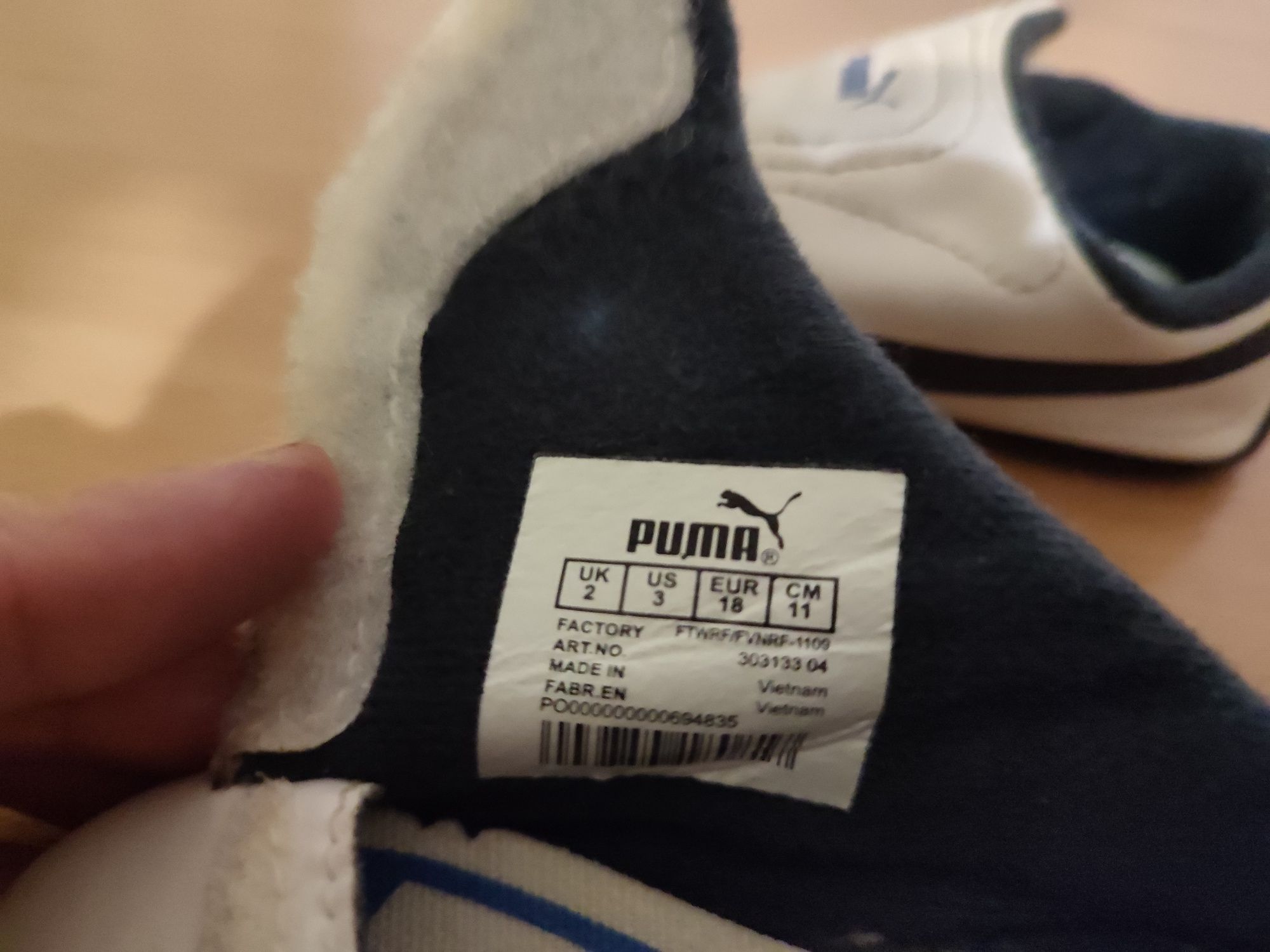 Niechodki chłopięce puma