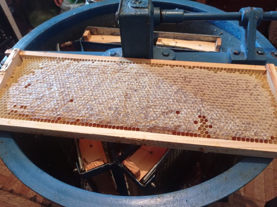 Продам мед з власної пасіки