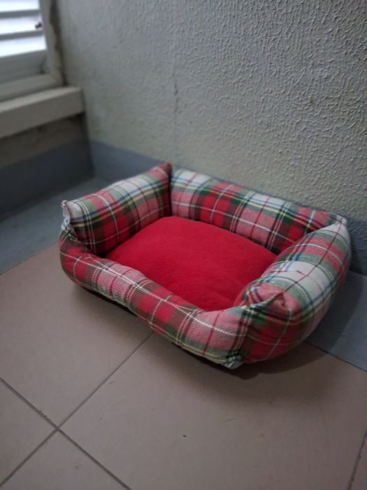 Cama/Casa para Cão e Gato