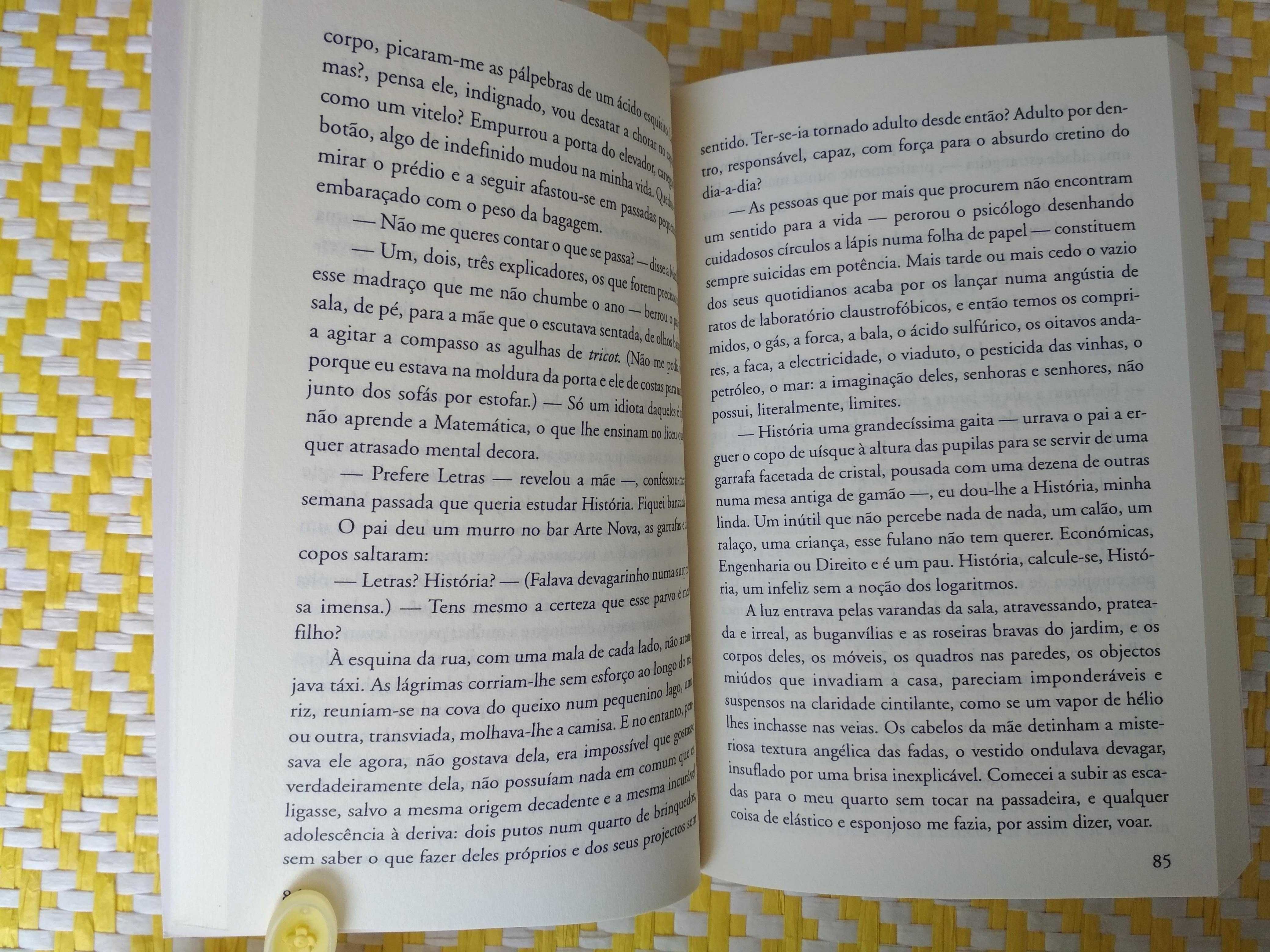 Explicação dos Pássaros
António Lobo Antunes