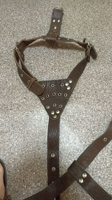 Шлейка  на собаку,продам Шлейку на велику собаку кожана, в гарному ста