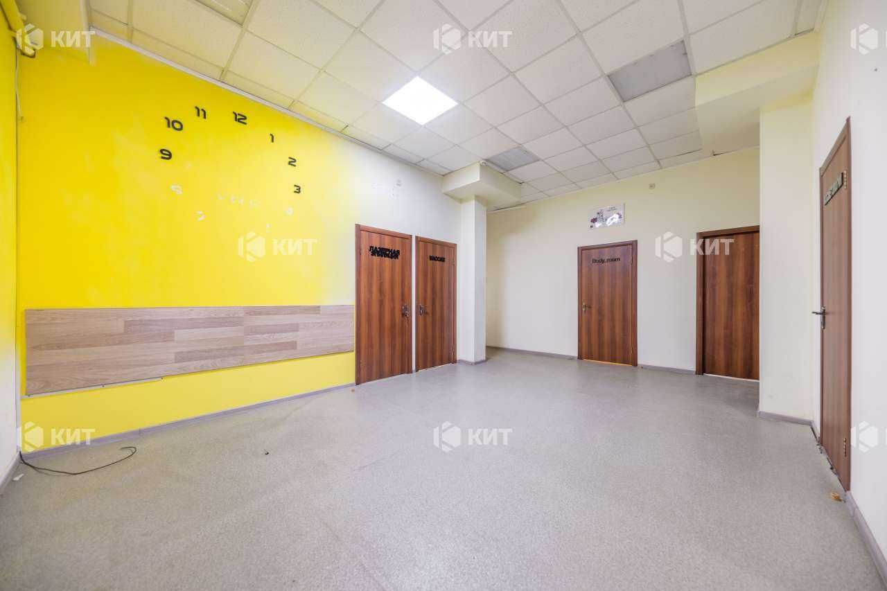 Офис 140м2 Центр ( м. Майдан Конституции, ул. Сумская 13) 128741