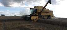 Kombajn zbożowy New Holland TX68 Plus