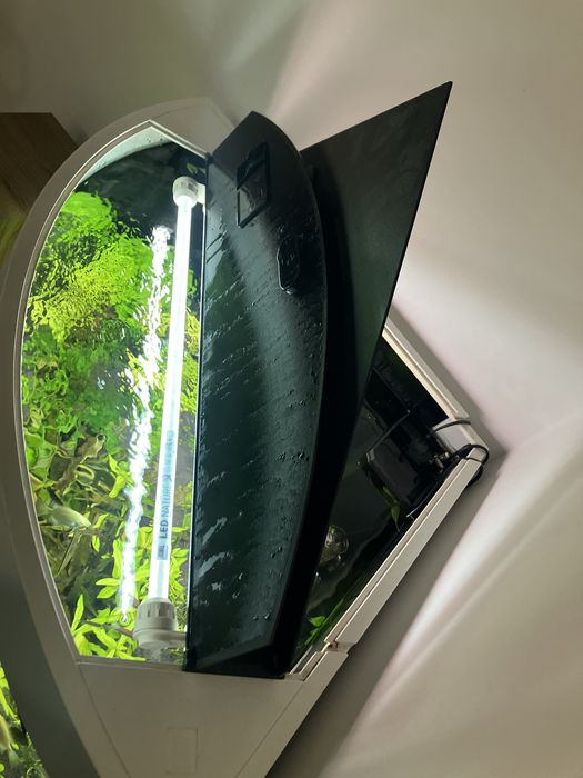 Akwarium Juwel Trigon 190 naroznikowe komlet szafka