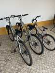 Bicicletas de familia