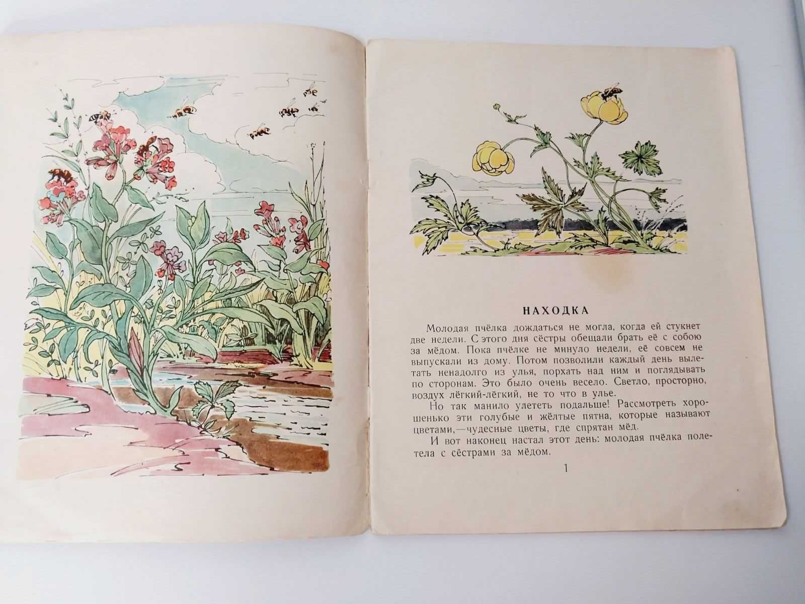 Детская книга Павлова Жёлтый, белый, лиловый 1956г.