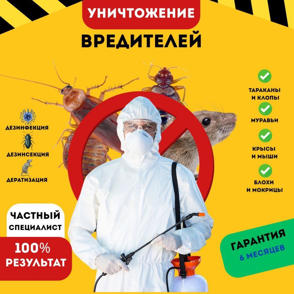 Уничтожение тараканов клопов блох крыс Устранить Трупный ЗАПАХ Плесень