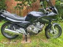 Yamaha xj600s 2001r.