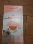 Royal canin kitten galareta 24x85g