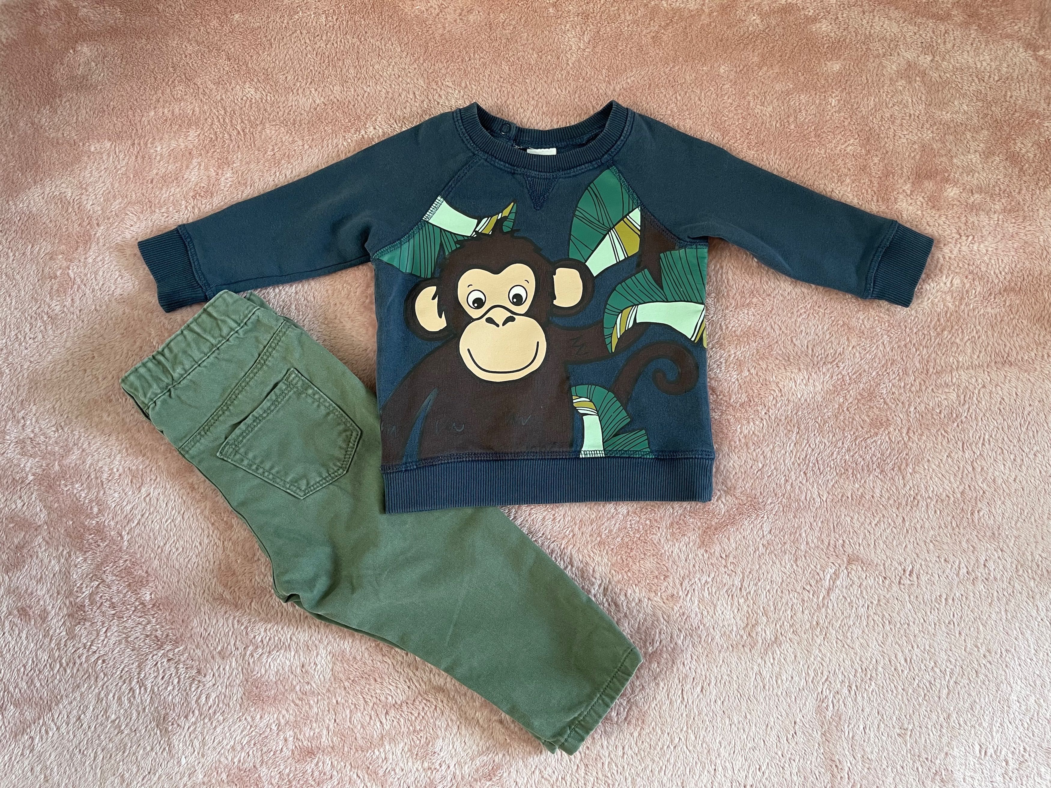 Bluza chłopięca H&M rozmiar 74 motyw małpa
