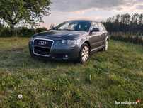 Audi A3 8p 1.9 TDI