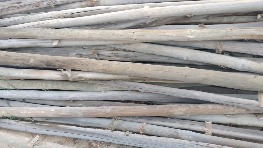 Postes tratados.               .