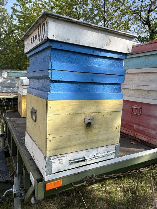 Вулики, корпуса в зборі, магазини