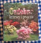 Ozdobne krzewy i pnącza .
