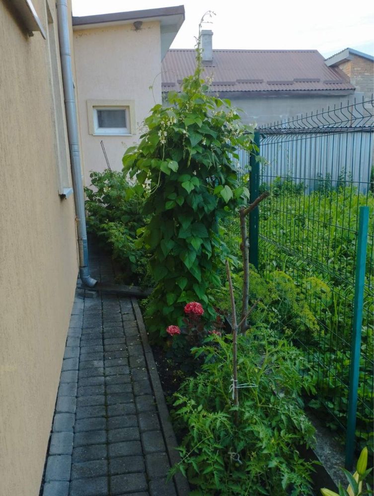 Продаж будинка ,село Дроздовичі