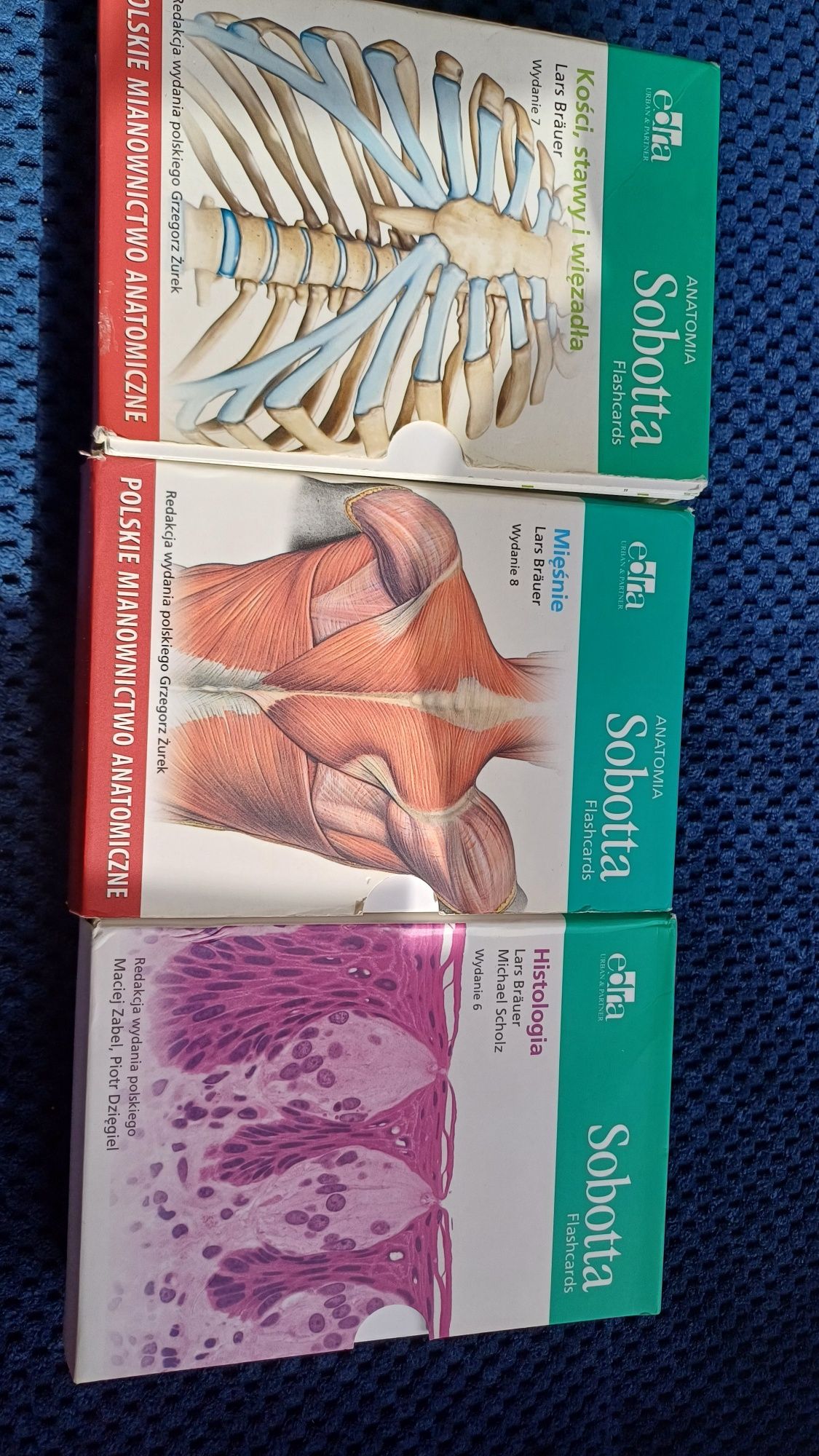 Sobotta fiszki histologia kości mięśnie