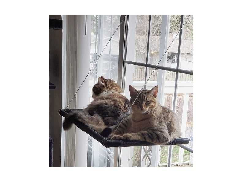 лежанка для котів Dracarys вагою до 25кг посилене з присоскою чорн