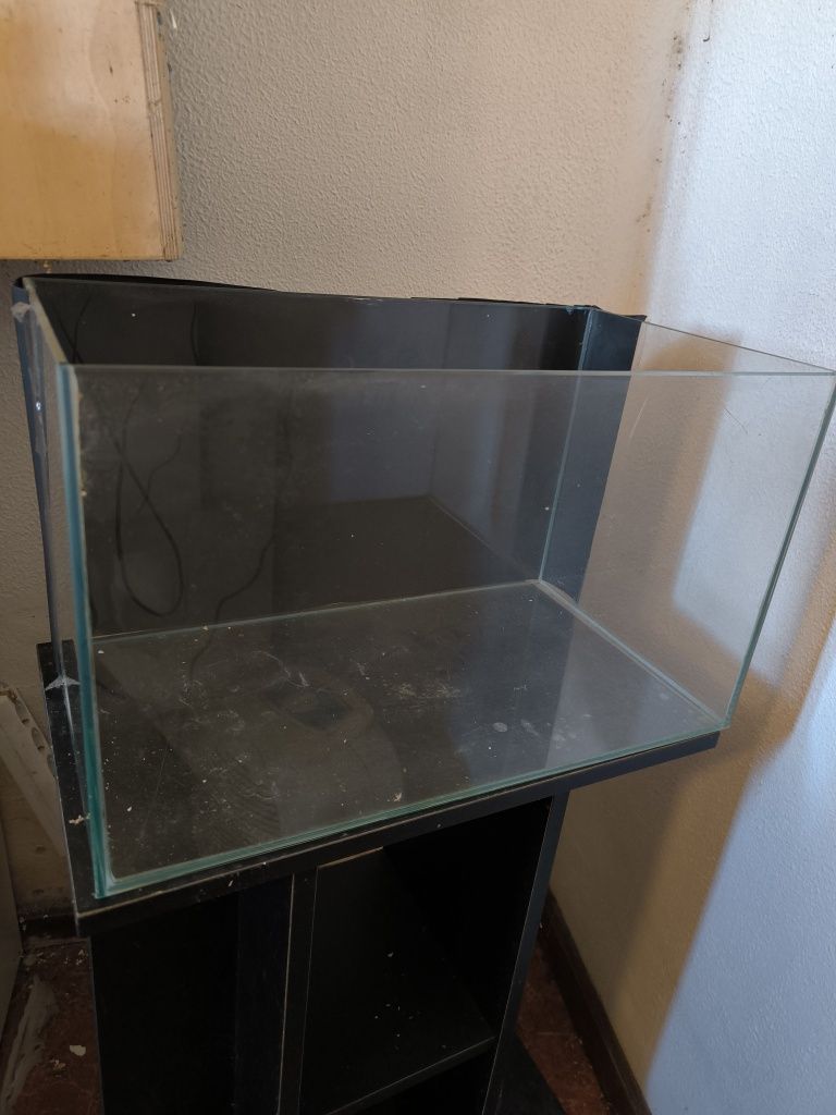 Aquário 50 cm mais movel
