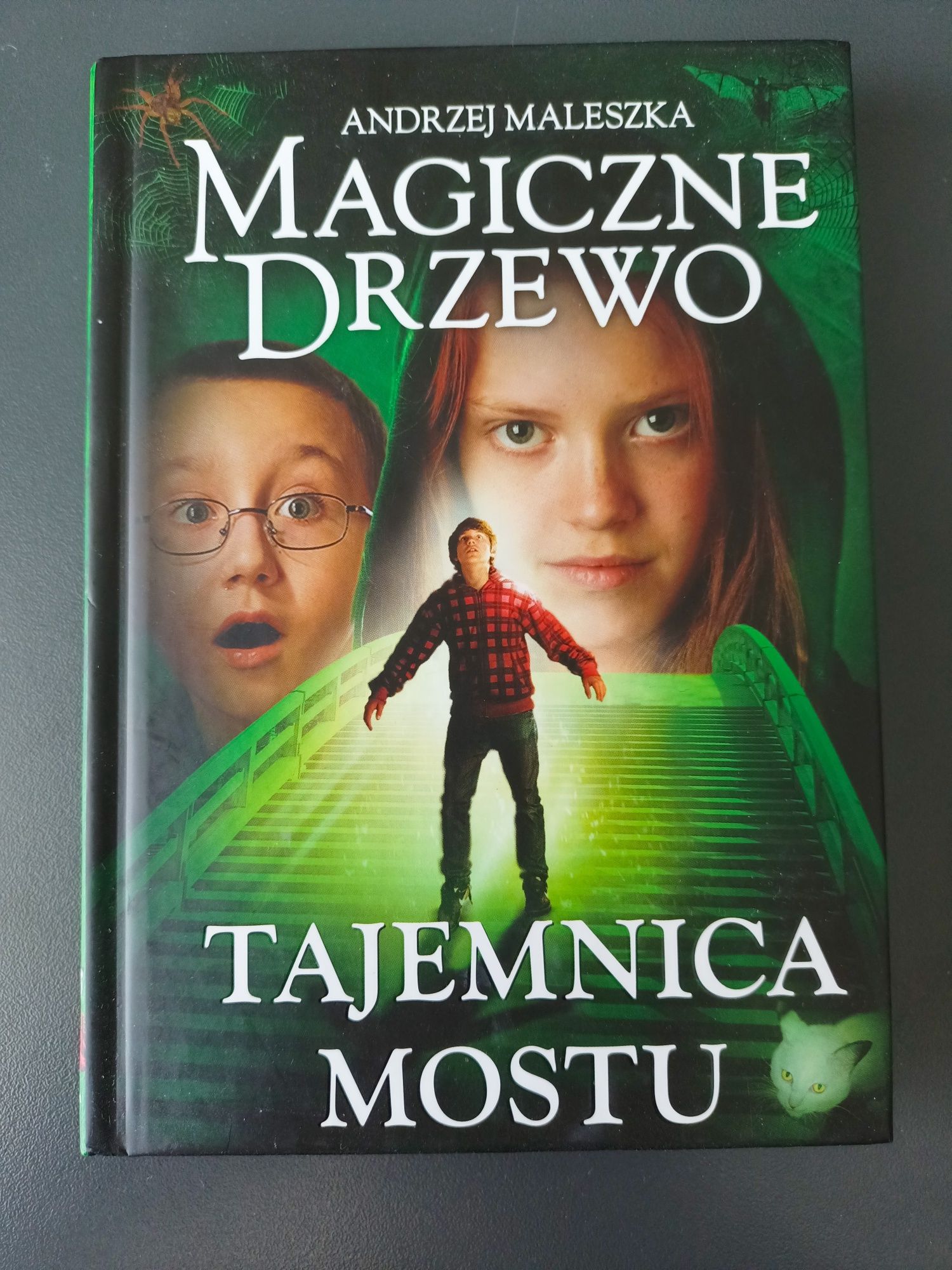 Magiczne drzewo Tajemnica mostu A. Maleszka