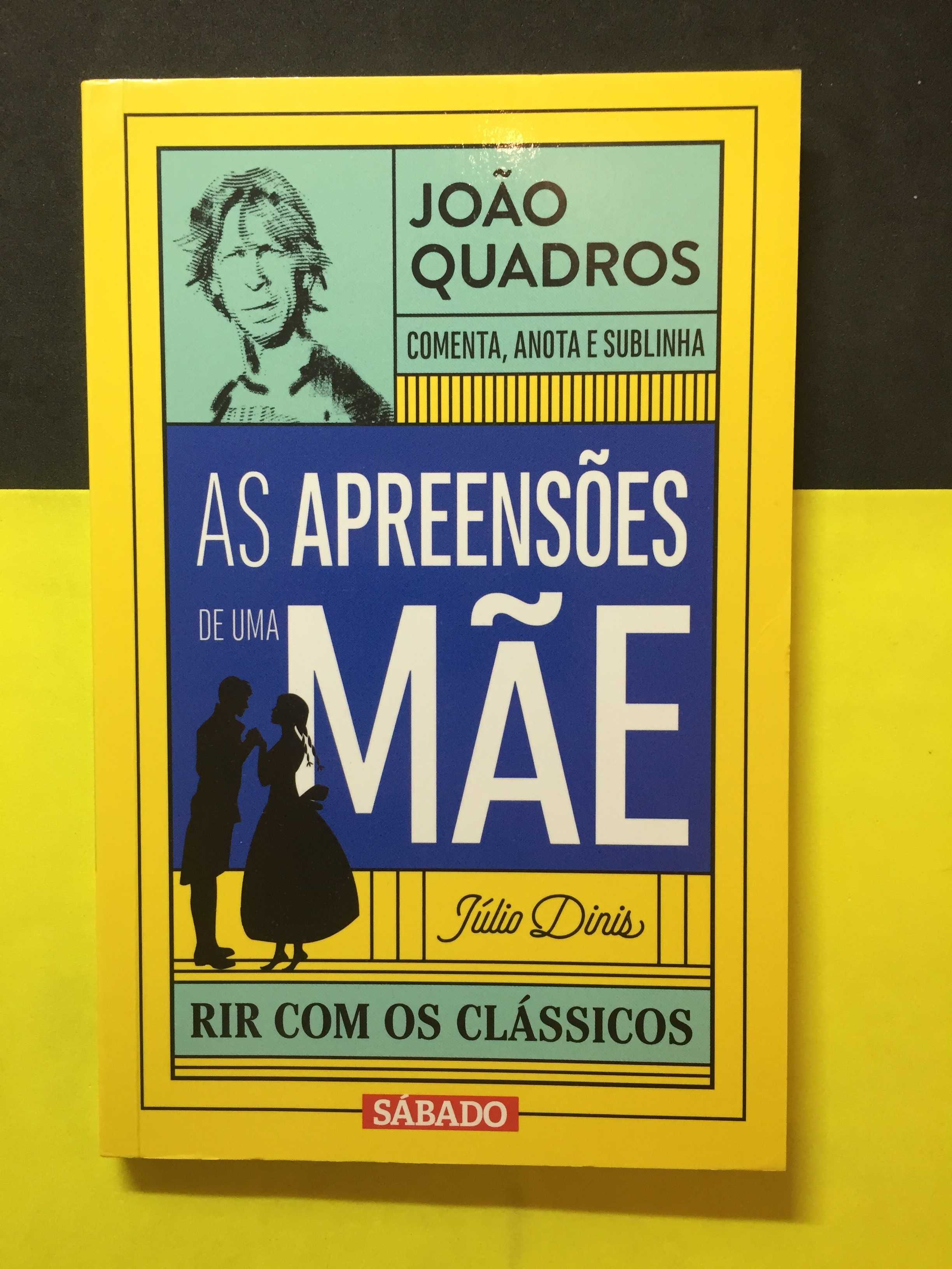 João Quadros - As apreensões de uma mãe