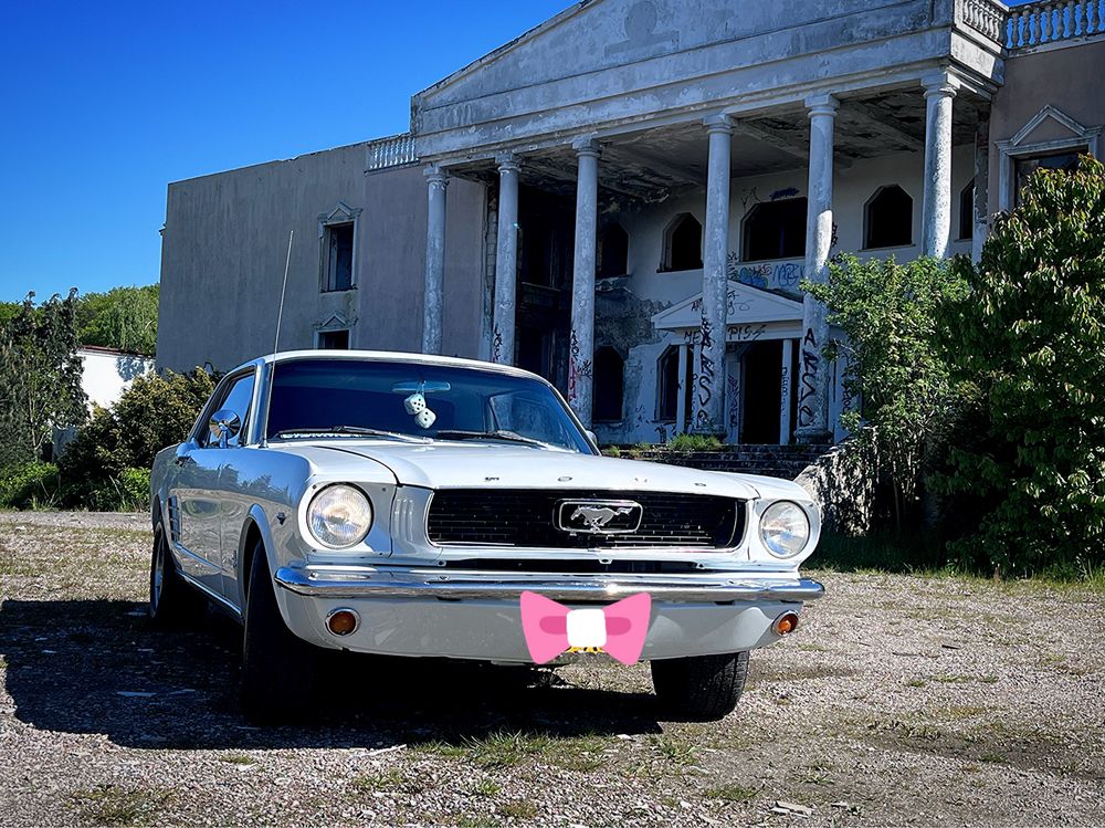 Samochód do ślubu Mustang 1966 Trójmiasto Pomorskie Auto Ślub Klasyk