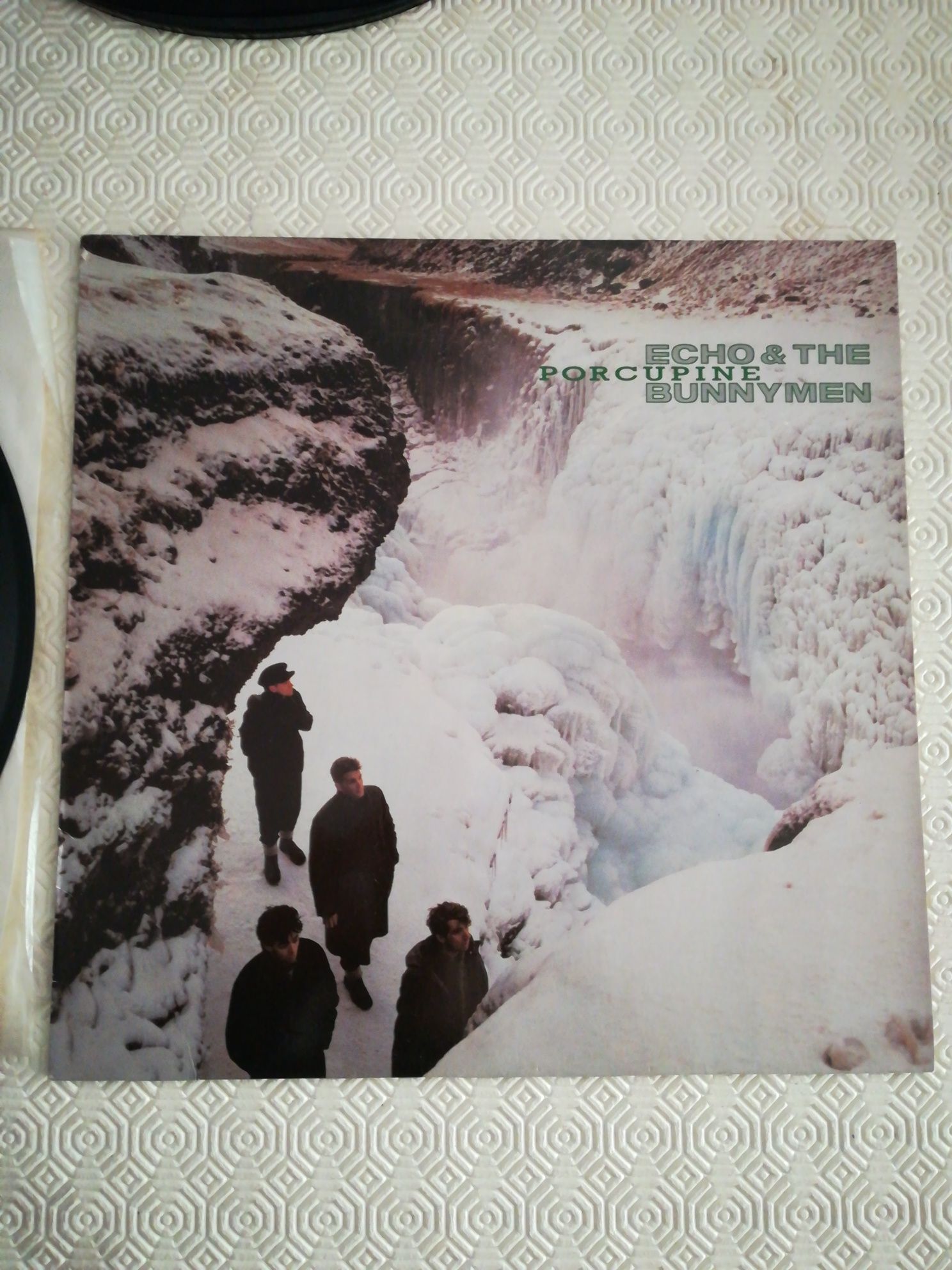 Echo e the Bunnymen, Porcupine