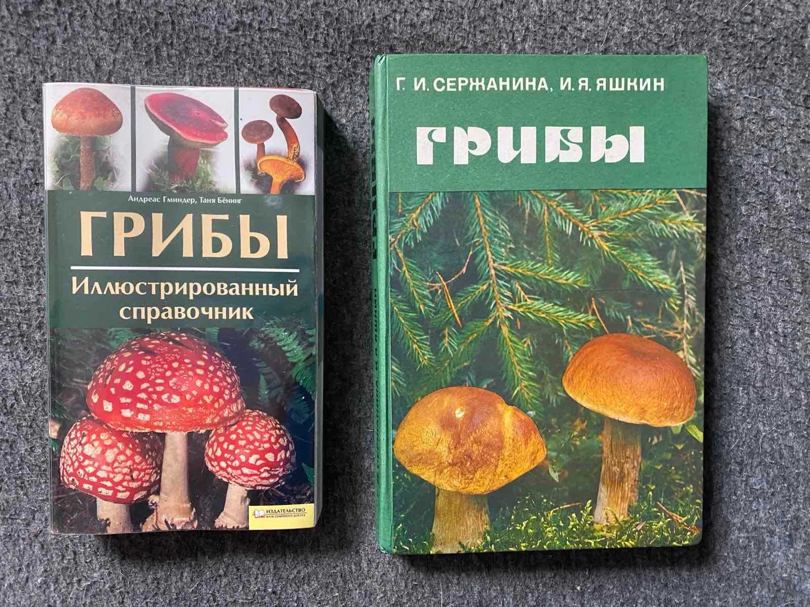 Гриби-Психологія- Філософія -Аллатра ОШО-Бджоли - Вино- Массаж