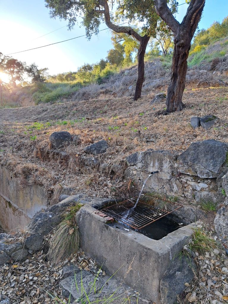 Terreno com ruína com visto magnífica