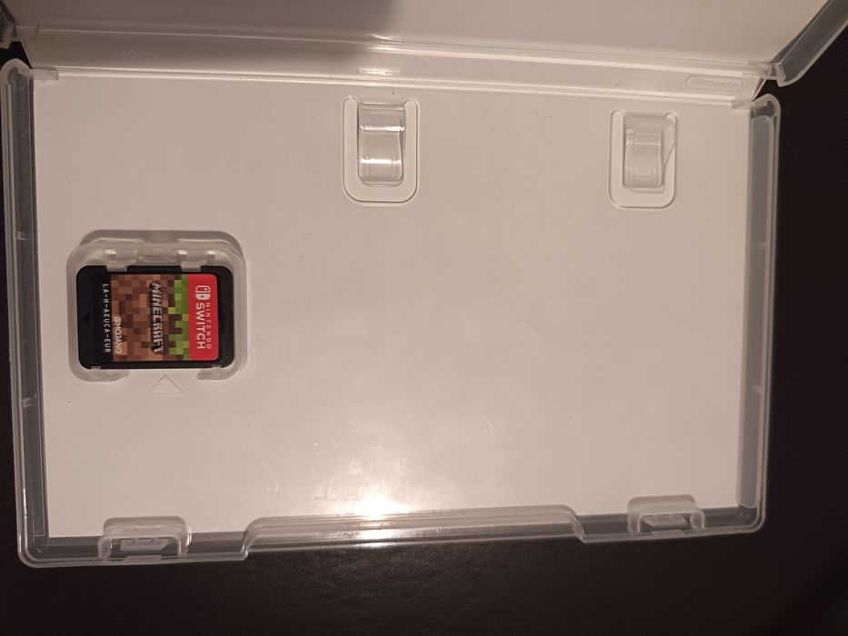 Minecraft Nintendo Switch