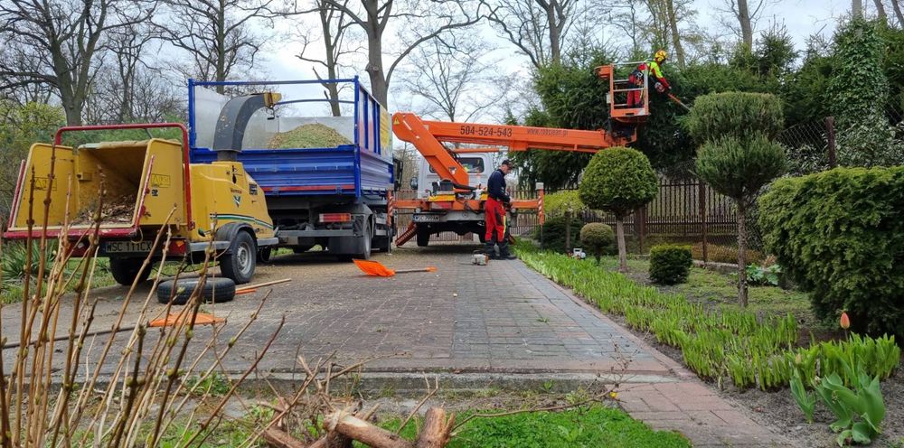 wycinka drzew karczowanie rębak skup drzew na pniu podnośnik koszowy